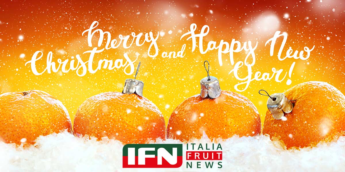 Auguri di Buone Feste dal team di IFN